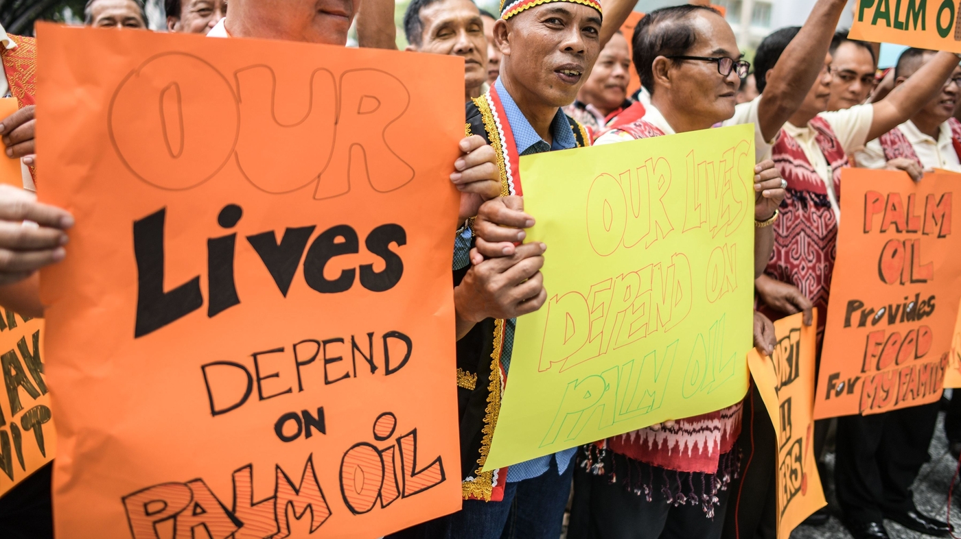 How palm oil prices are affecting the global economy Money NPR