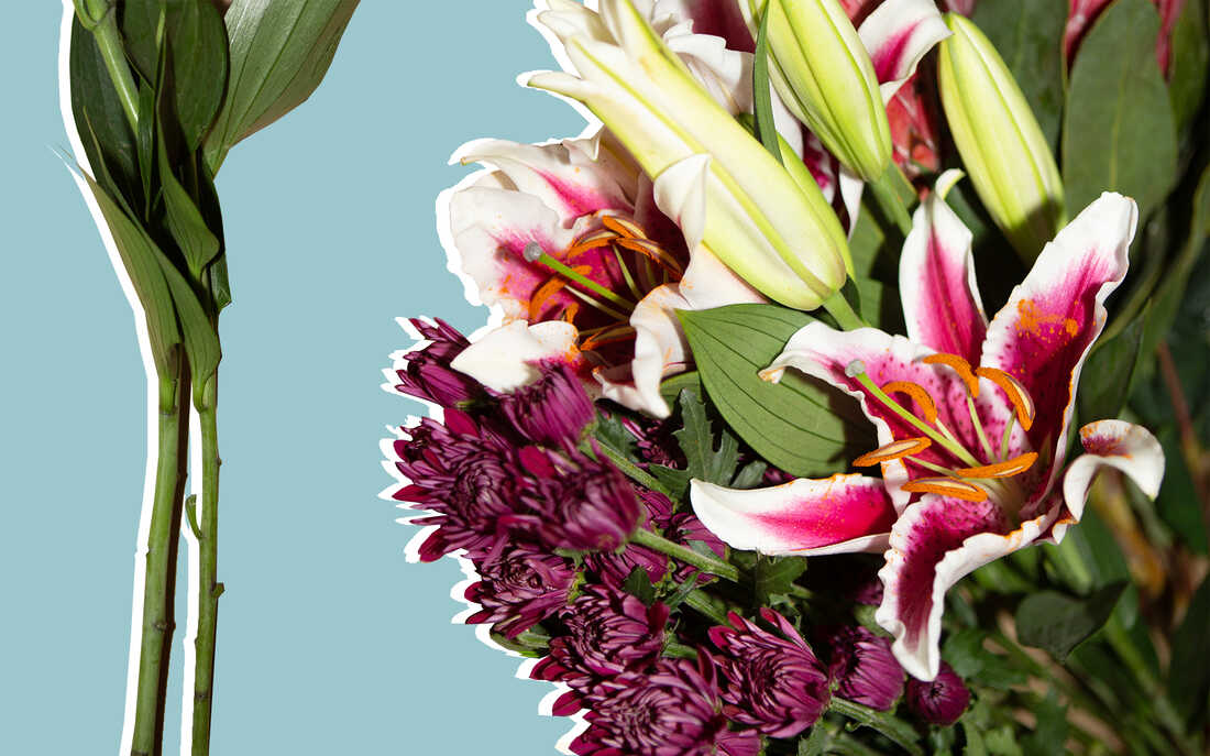 Shop for flowers with green stems and firm petals.