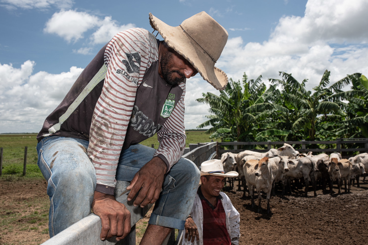 Colombian cowboys are known as <em>llaneros</em>, Spanish for plainsmen. (Carlos Saavedra)