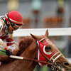 Rich Strike takes first at the Kentucky Derby in a huge upset