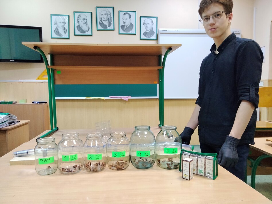 Dmytriy Omelyanov is working with a fellow student on a project involving cockroaches. They will be competing in the science fair virtually from Ukraine.