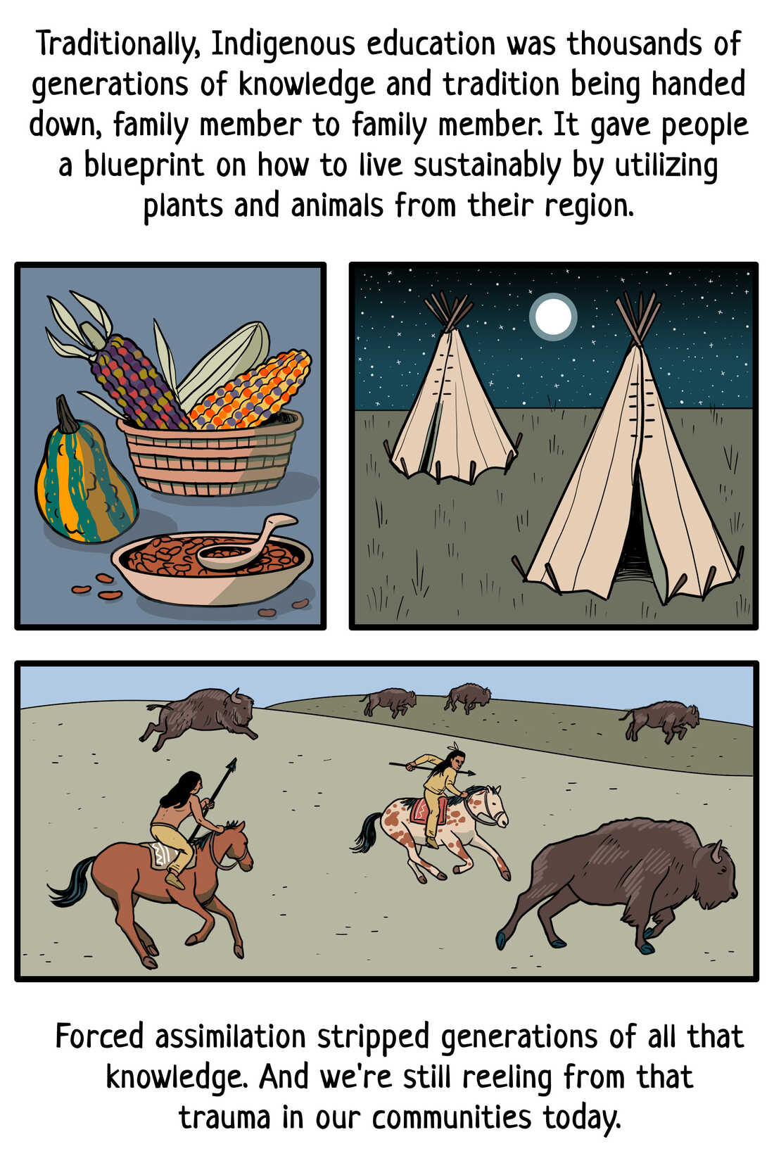 Panel 5: "Traditionally, Indigenous education was thousands of generations of knowledge and tradition being handed down, family member to family member. It gave people a blueprint on how to live sustainably by utilizing plants and animals from their region.