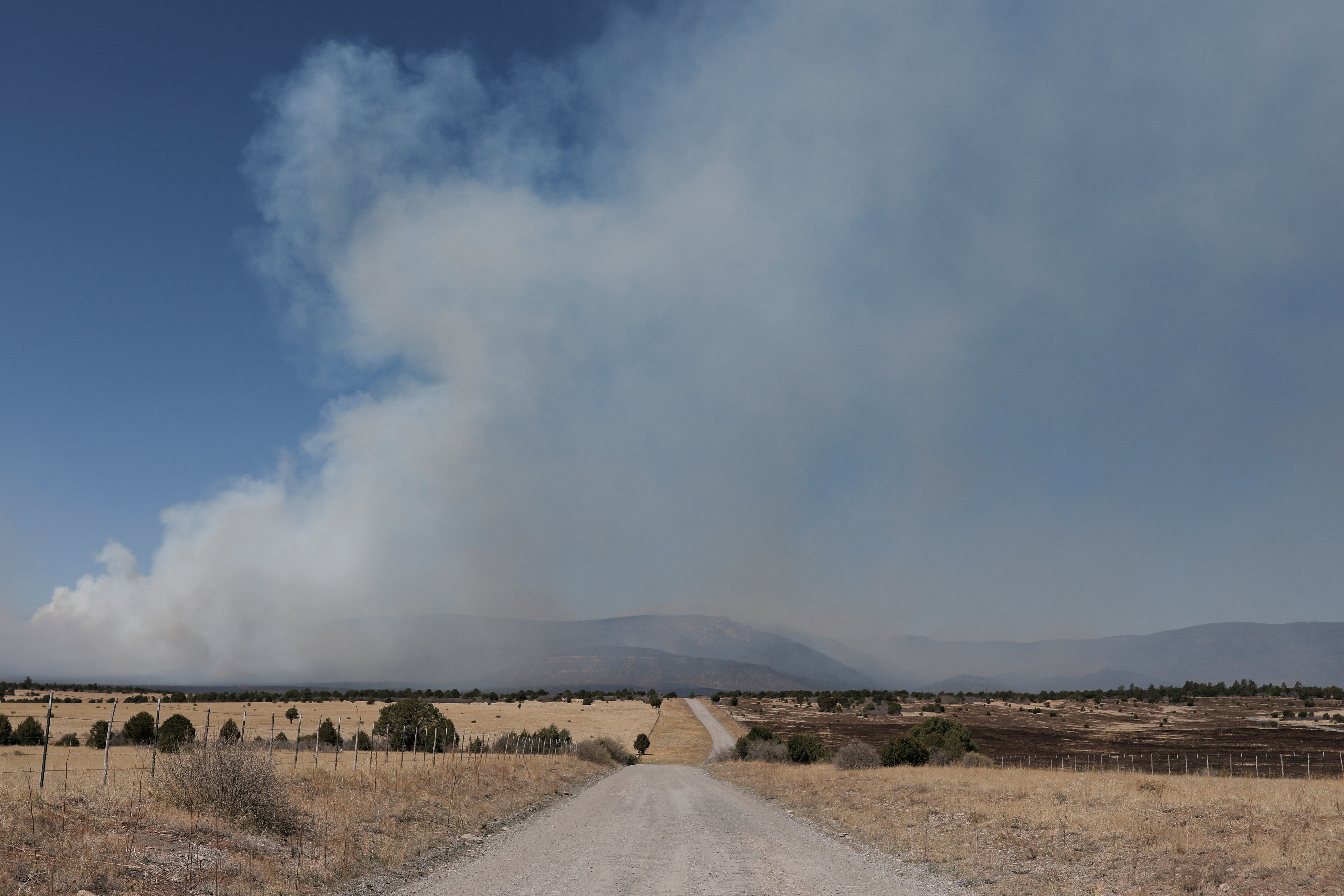Smoke billows from the Hermits Peak and Calf Canyon fire, outside of Las Vegas, New Mexico, on May 11. (REUTERS)