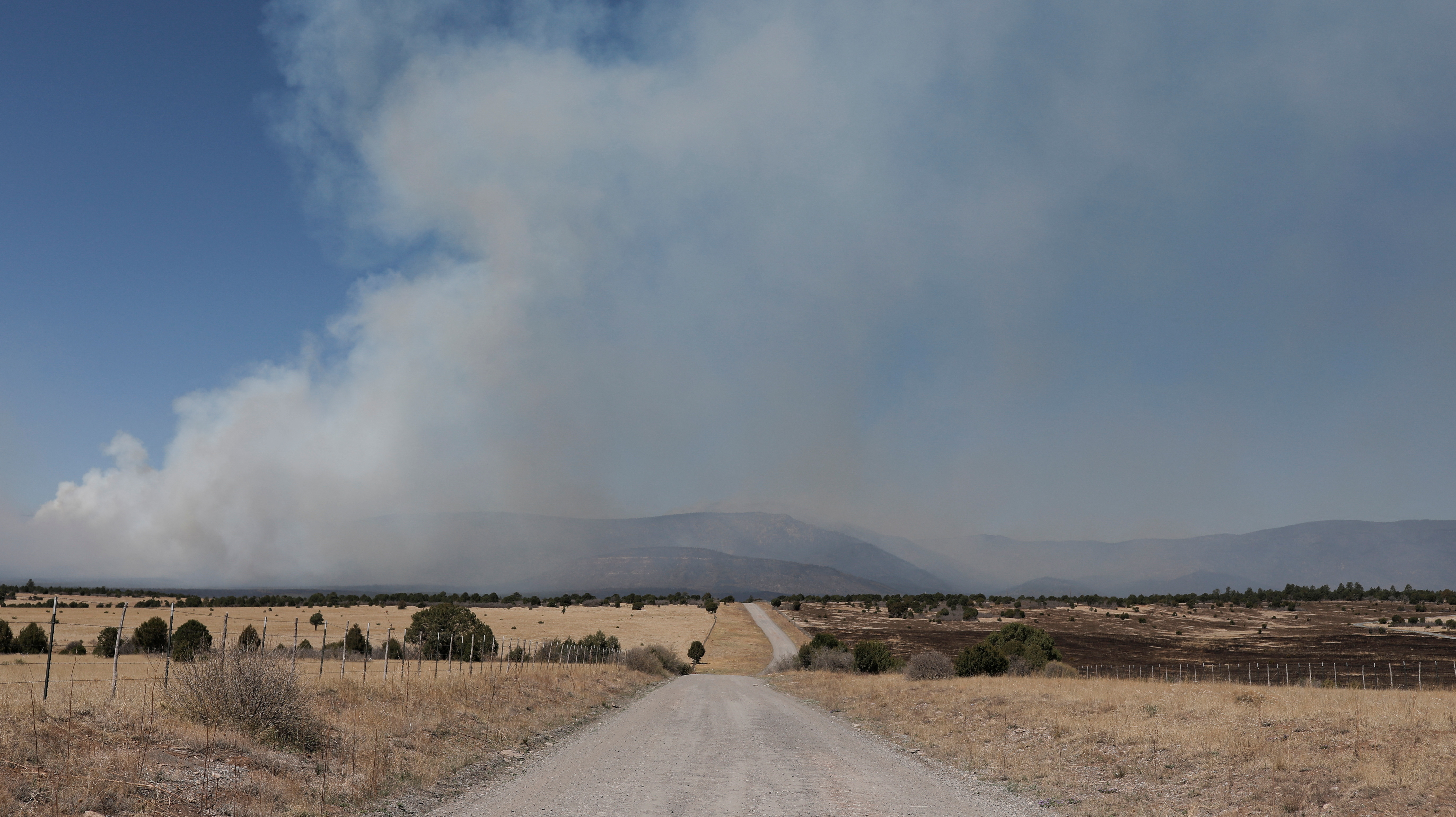 The New Mexico wildfire is a battle for firefighters because of relentless wind : NPR - Vimarsana News