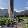 Officials say the California church shooter was motivated by hatred for Taiwanese people 