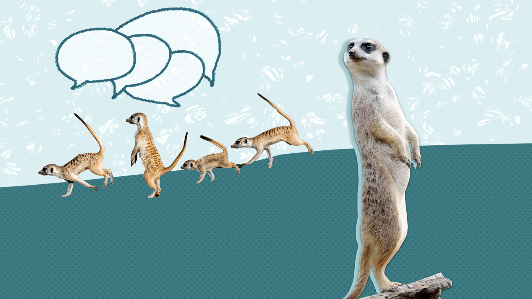 4 tips to get over FOMO : Life Kit : NPR - Vimarsana News