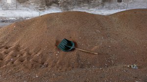 How to get 20 million tons of grain out of Ukraine