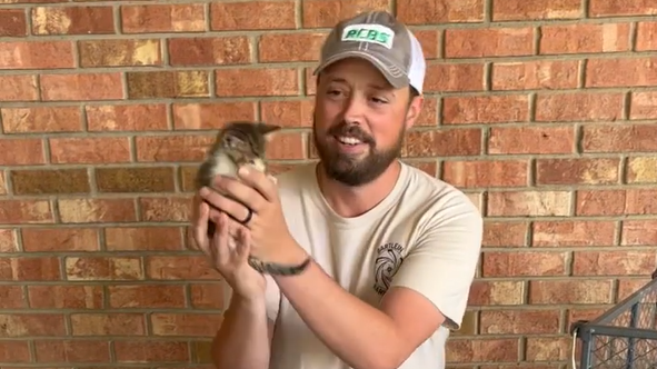 This Louisiana man thought he was rescuing one kitten &mdash; then 12 more appeared