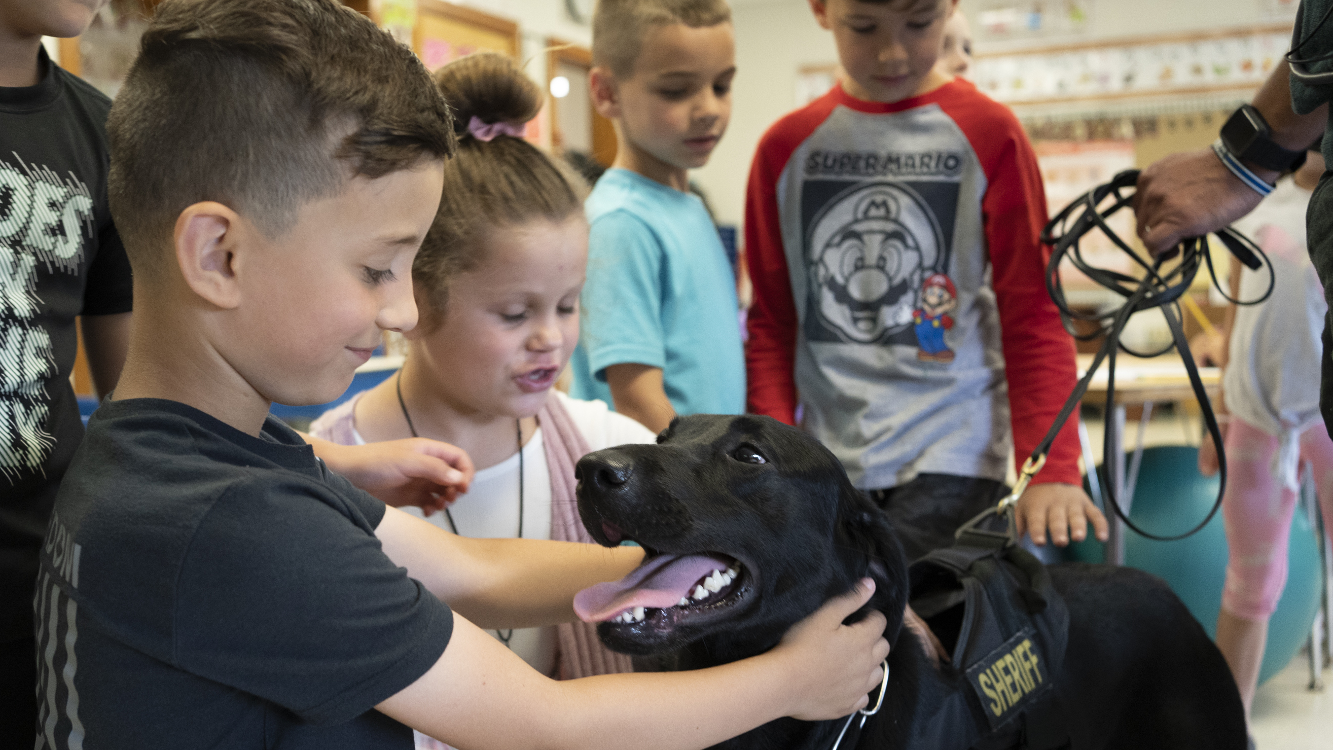 COVID-detection dogs offer a new way to guard against the pandemic : Goats and Soda : NPR - Vimarsana News