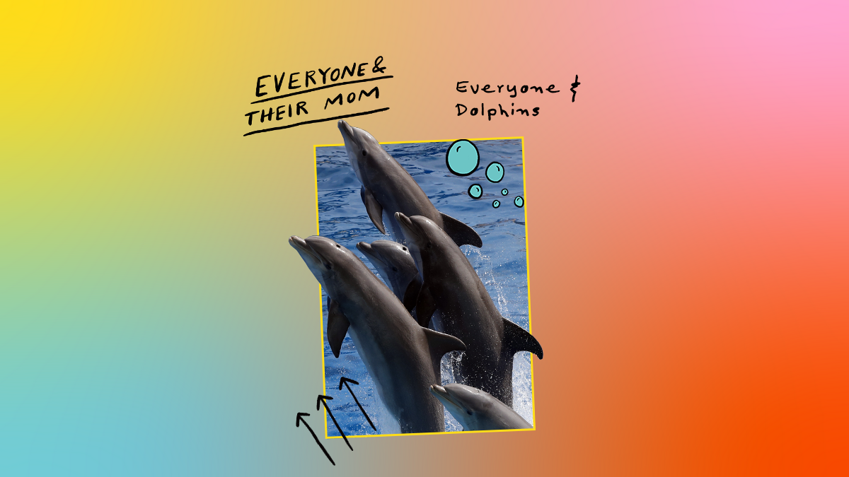 Dolphins recognize their friends by tasting each other's pee : Wait Wait... Don't Tell Me! - Vimarsana News