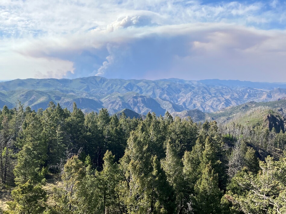 A plume of smoke from the Black Fire rises over the Gila National Forest. Philip Connors watched the fire grow and creep closer to his fire lookout post.
