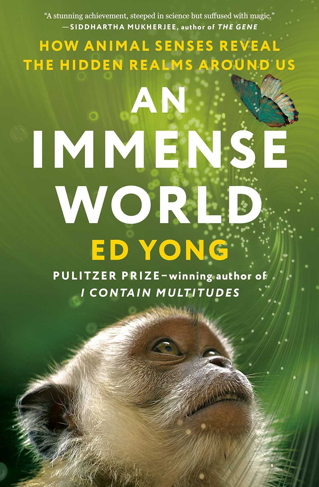 In 'An Immense World', Ed Yong dives deep into animal senses : NPR