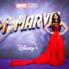 Many Pakistanis dig the cultural nods on 'Ms. Marvel' but are mixed on casting
