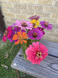 On Monday, as workers at Hope Medical Group for Women in Shreveport called back patients, a neighbor came by to drop off flowers from his garden, saying he knew it was a 'stressful' time.