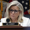 These candidates lost badly, but now are claiming fraud The US is facing a domestic threat from Trump, Liz Cheney says
