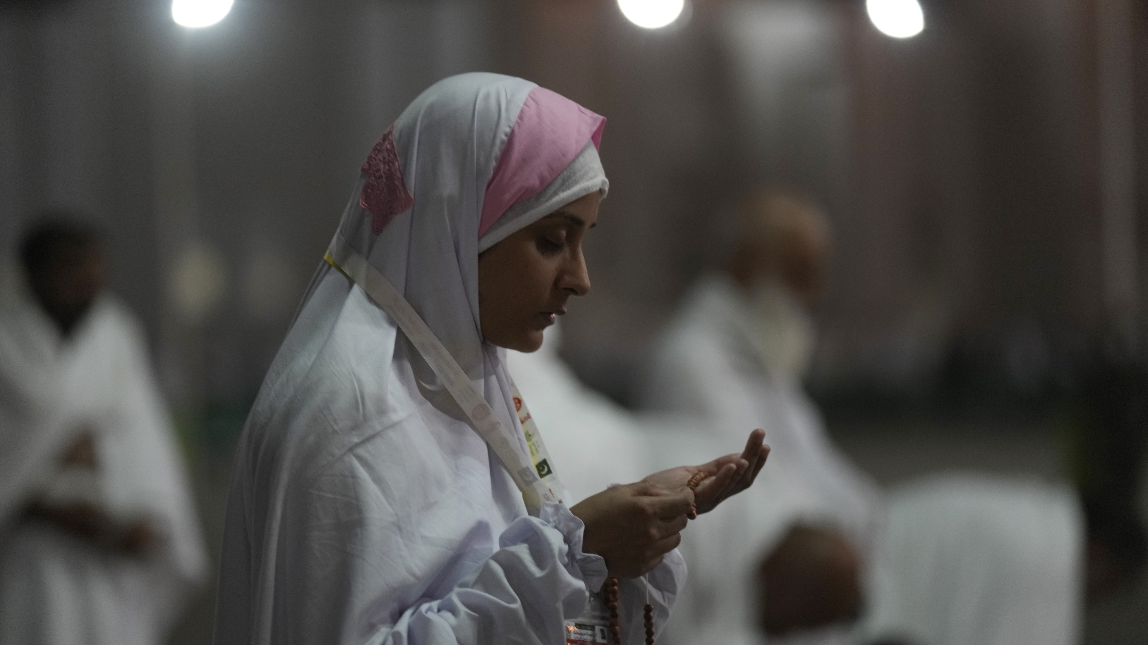 Muslim pilgrims pray at Mount Arafat as hajj reaches apex