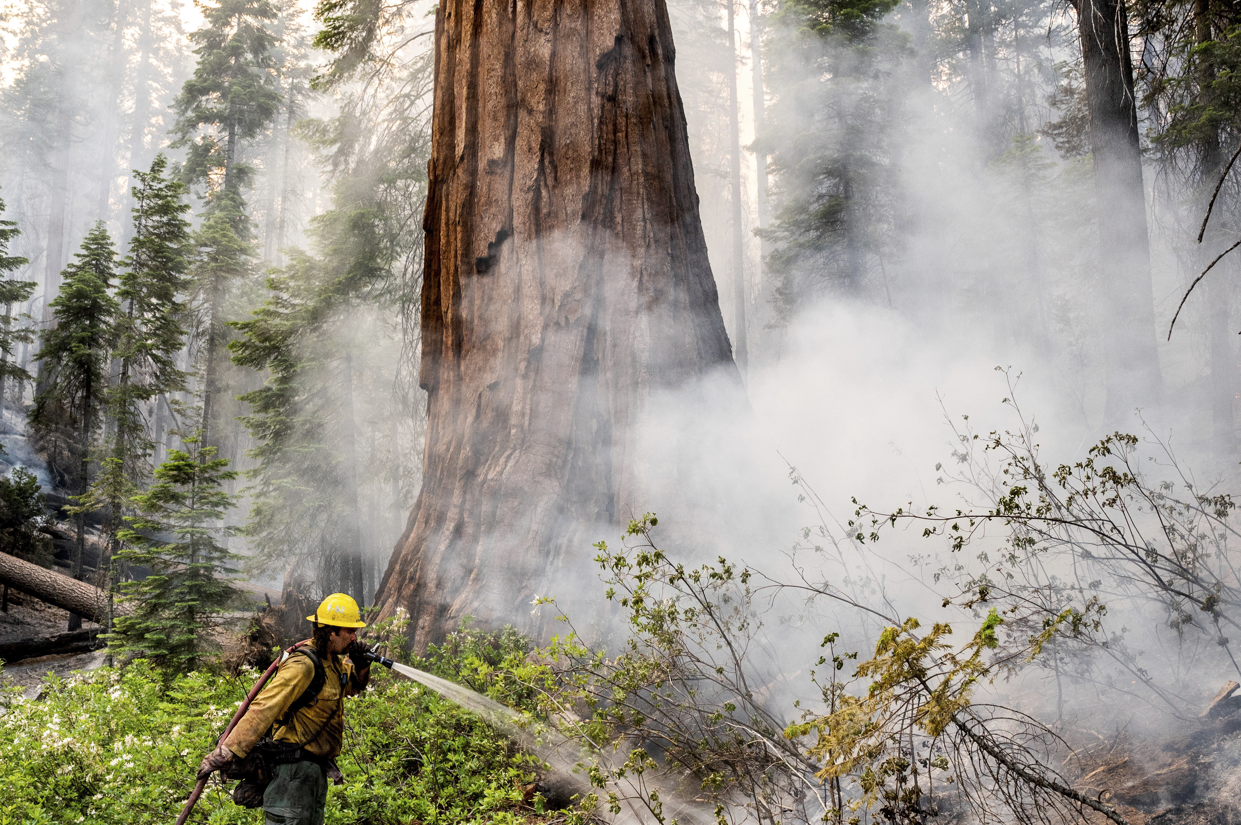 Residents return as containment grows for Yosemite fire - Vimarsana News