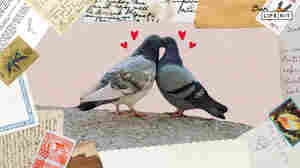 Dear Life Kit: I'm ready to move in together. My boyfriend isn't