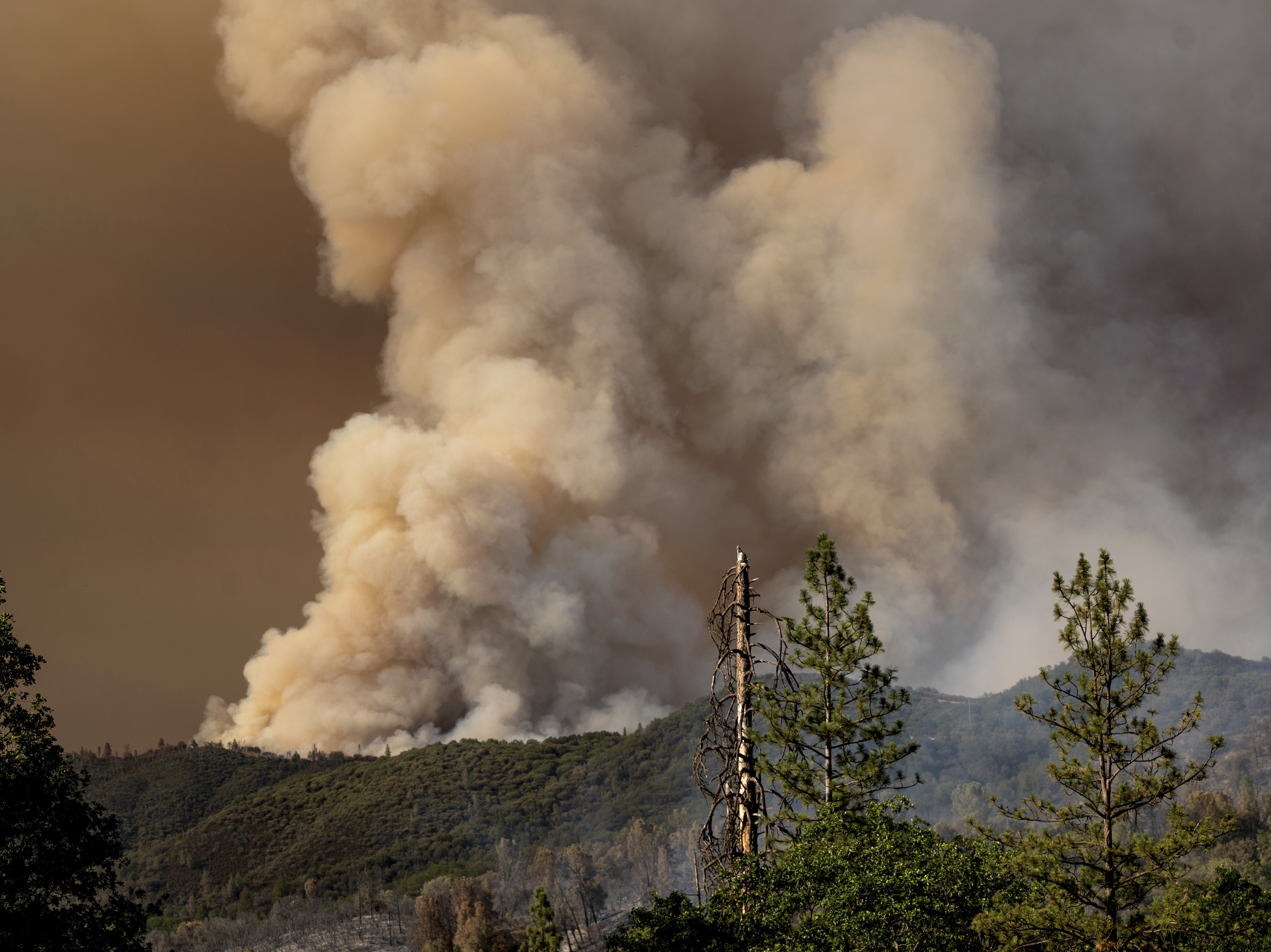 Fast-moving wildfire near Yosemite remains uncontained - Vimarsana News