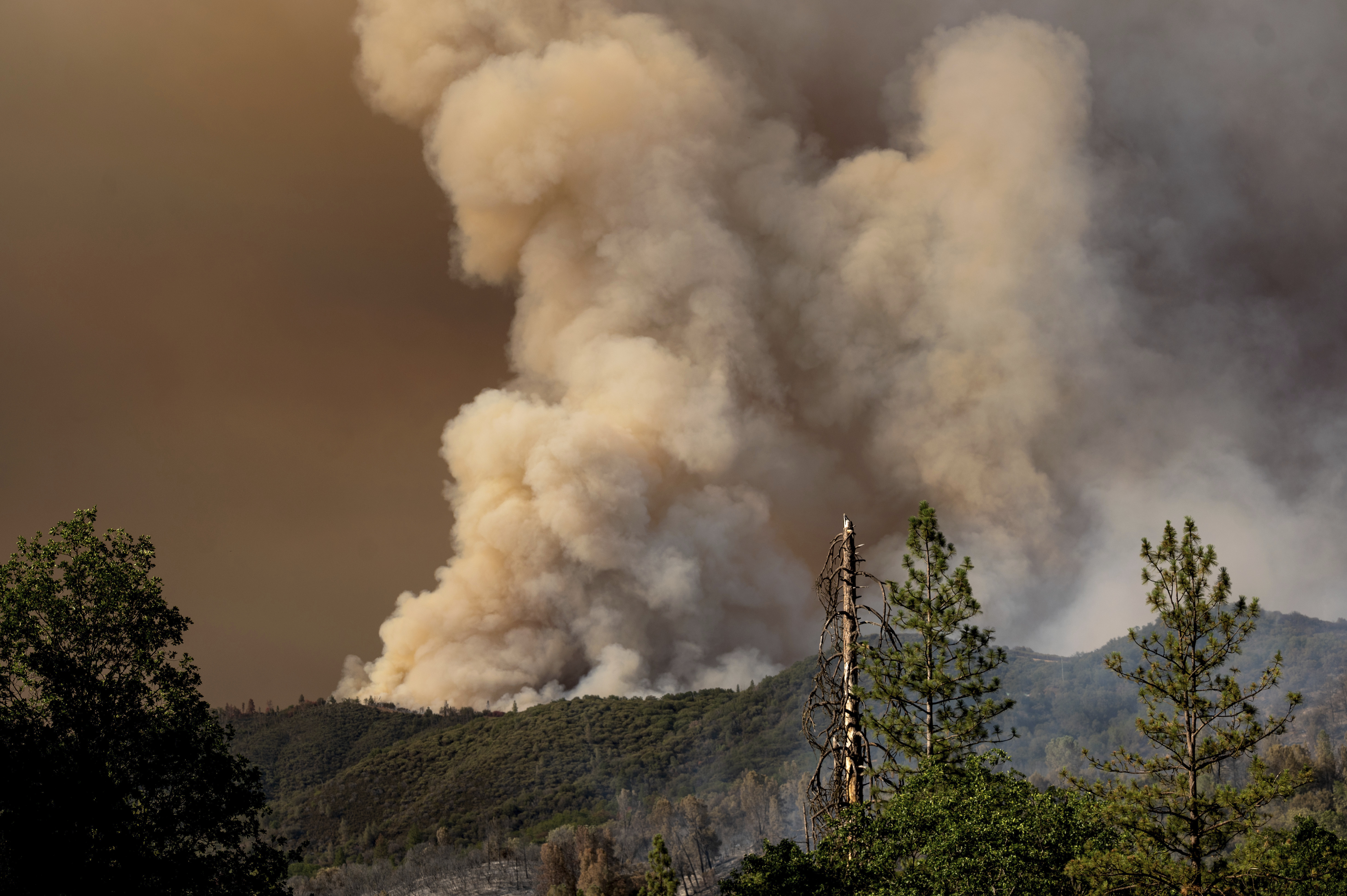Oak Fire's 'extreme fire behavior' causes rapid spread, forcing thousands to evacuate - Vimarsana News