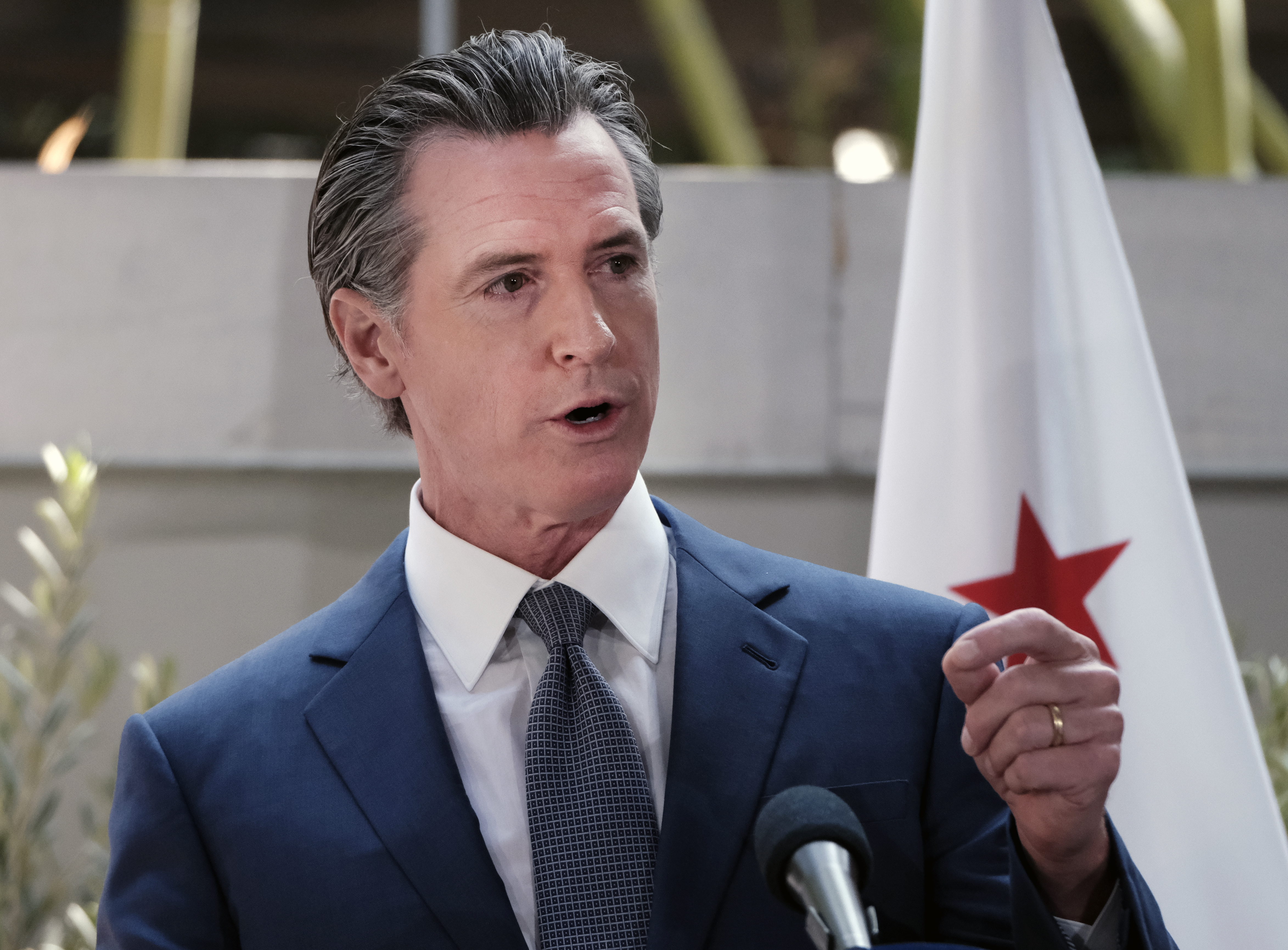 Facing sweltering summers, California's Newsom floats plan for state to buy energy - Vimarsana News