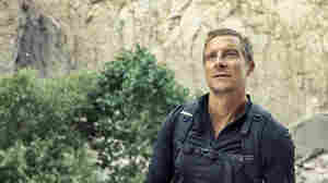 Bear Grylls on how to S-T-O-P fighting fear in everyday life