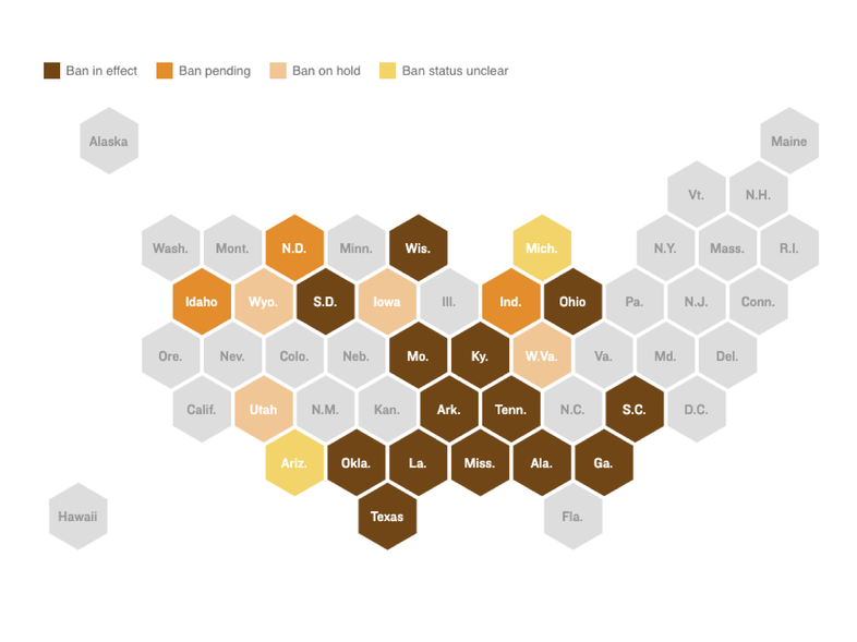 (Guttmacher Institute, Center for Reproductive Rights and NPR reporting (as of Aug. 11))