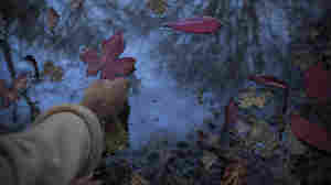 Are you a bittersweet person? Take this quiz — then discover the power of sadness