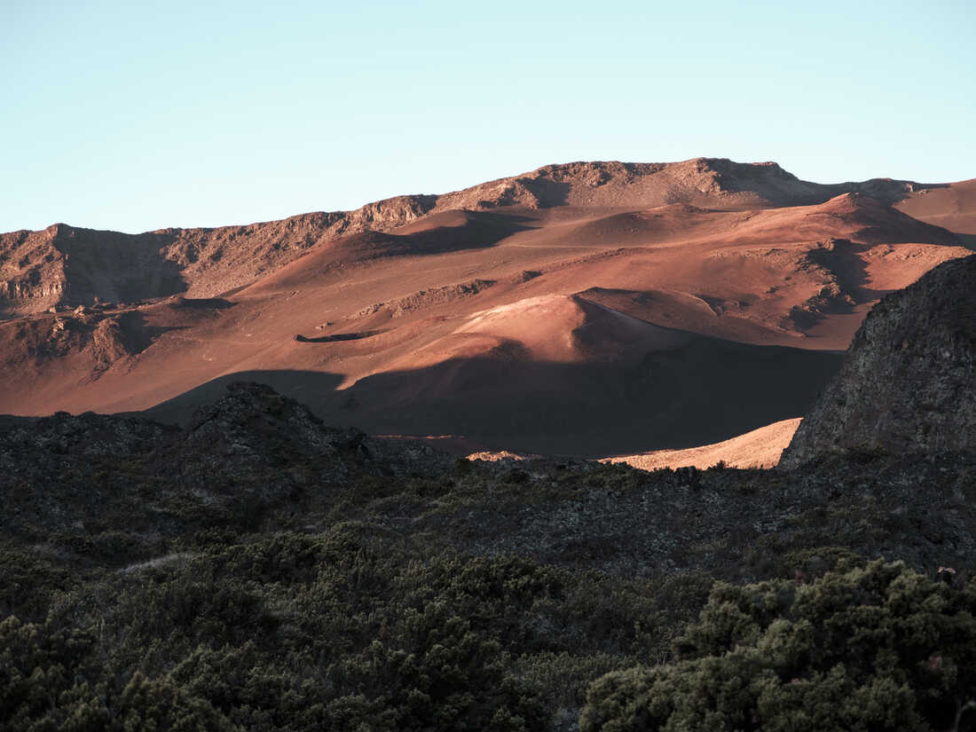 Could I Survive the 'Quietest Place on Earth'? - The New York Times