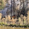 Pourquoi la suppression des incendies de forêt peut aggraver la crise des incendies dans l'Ouest