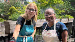 When Melissa Clark cooks, it's 'Dinner in One'