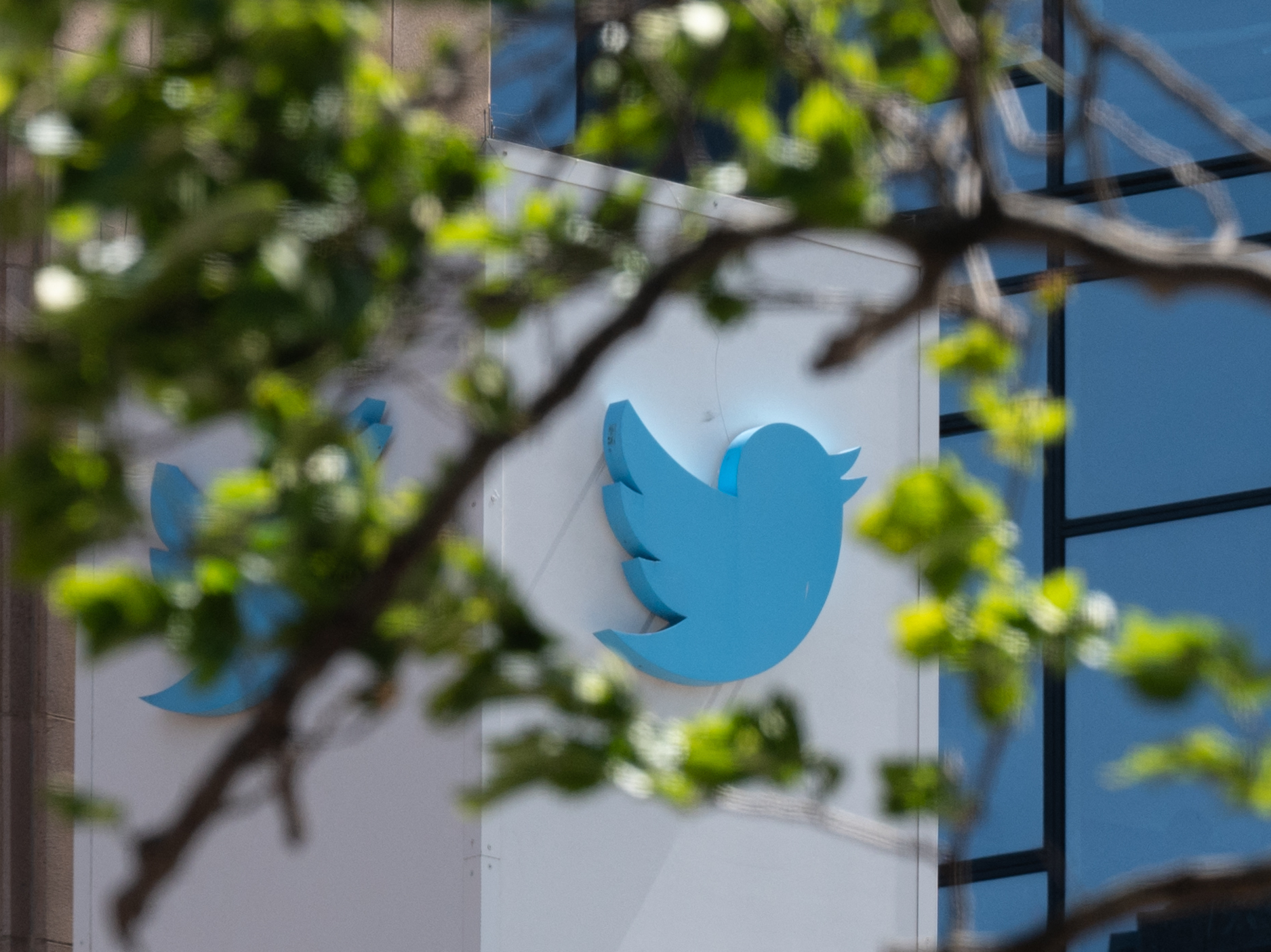 The Twitter logo is seen at their headquarters in San Francisco. The company say it's testing out an edit button, which is its most-requested feature. (AFP via Getty Images)
