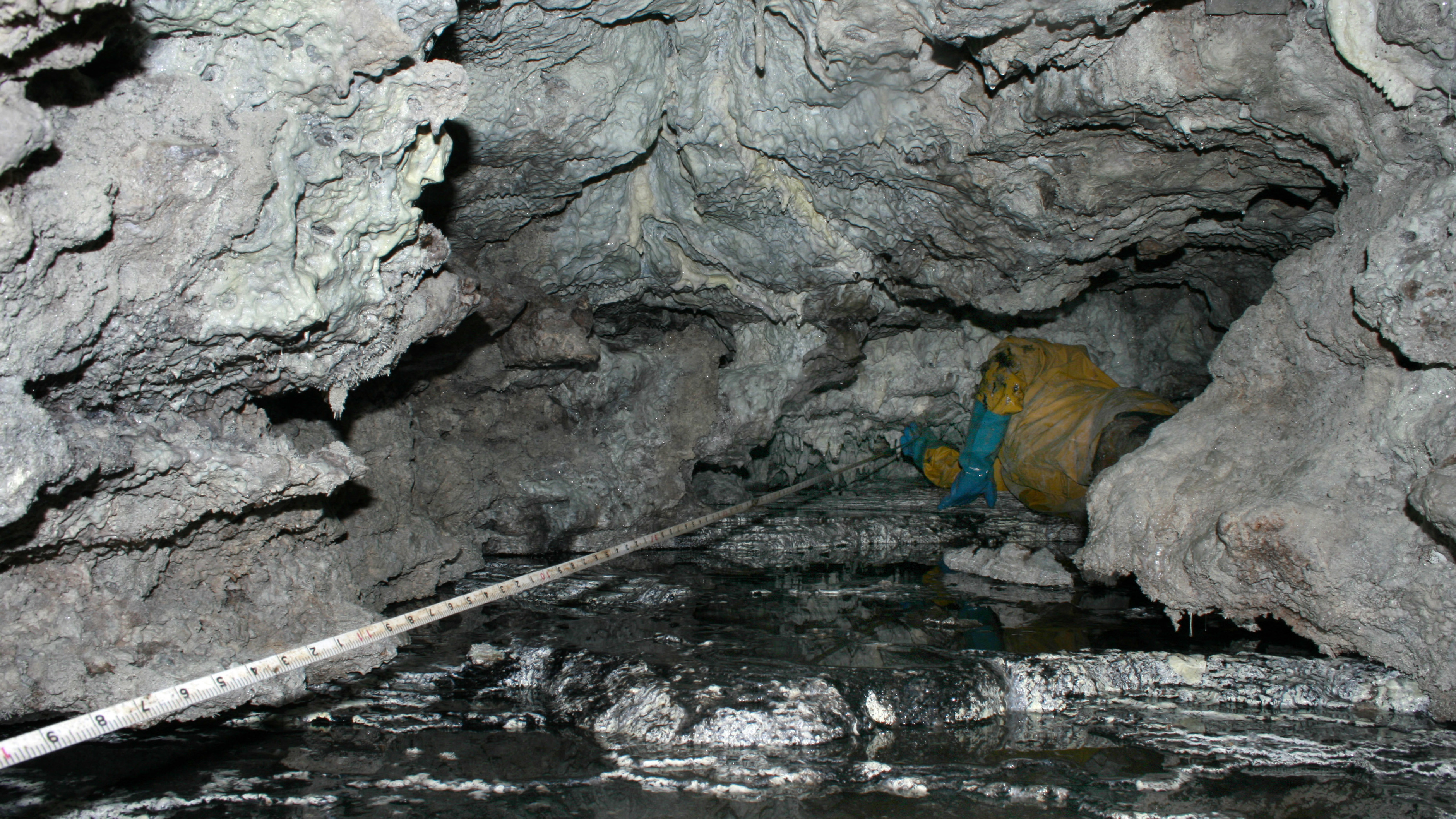 Sulphur Cave in Colorado Home To Blood-Red Worm Blobs : Short Wave : NPR