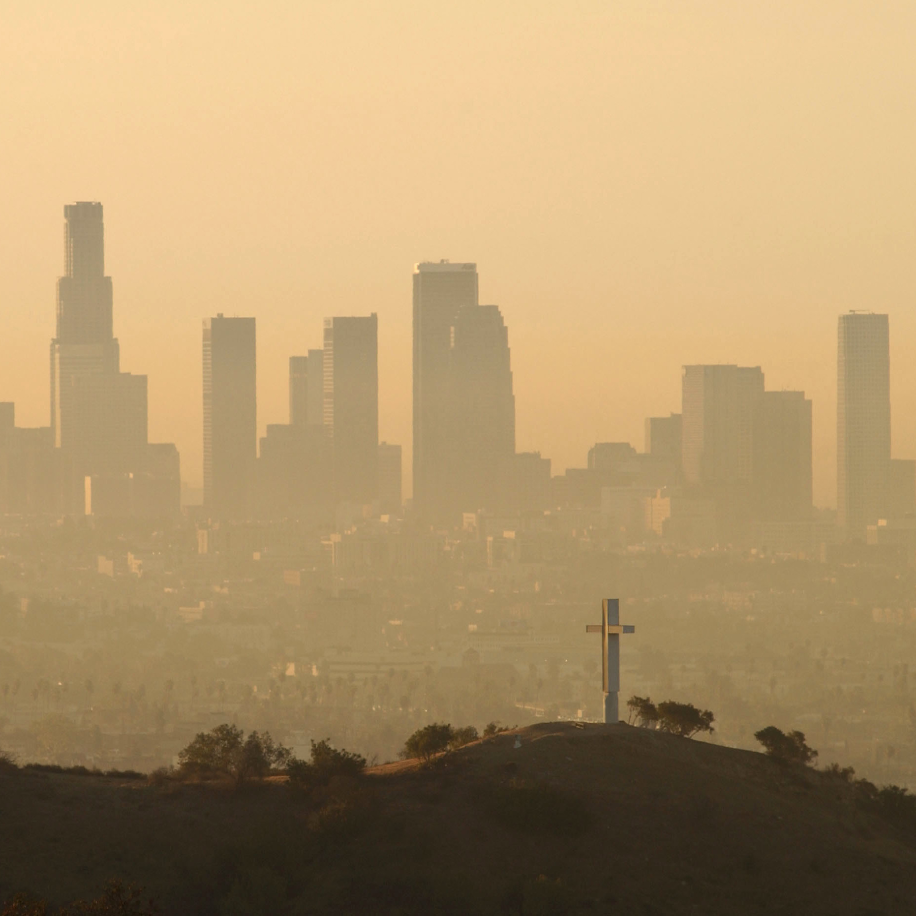 The California Effect