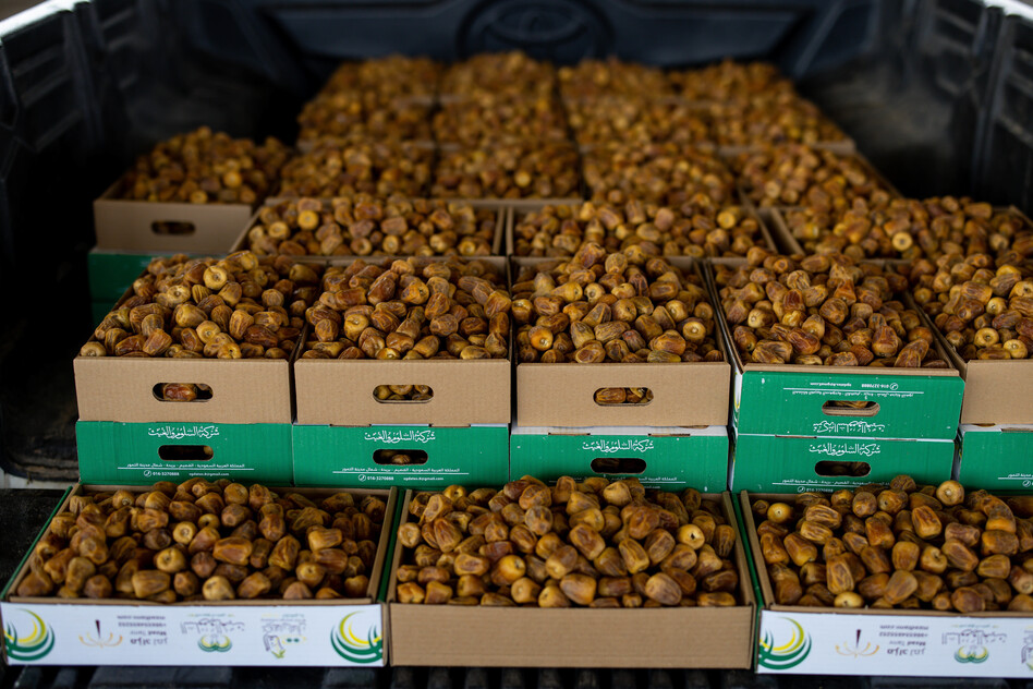 Dried Sukkari dates, the most popular variety in Saudi Arabia, are among the many sold at the Buraydah Date Festival on Aug. 3, 2022. The dates carry notes of caramel and are native to the Buraydah region.