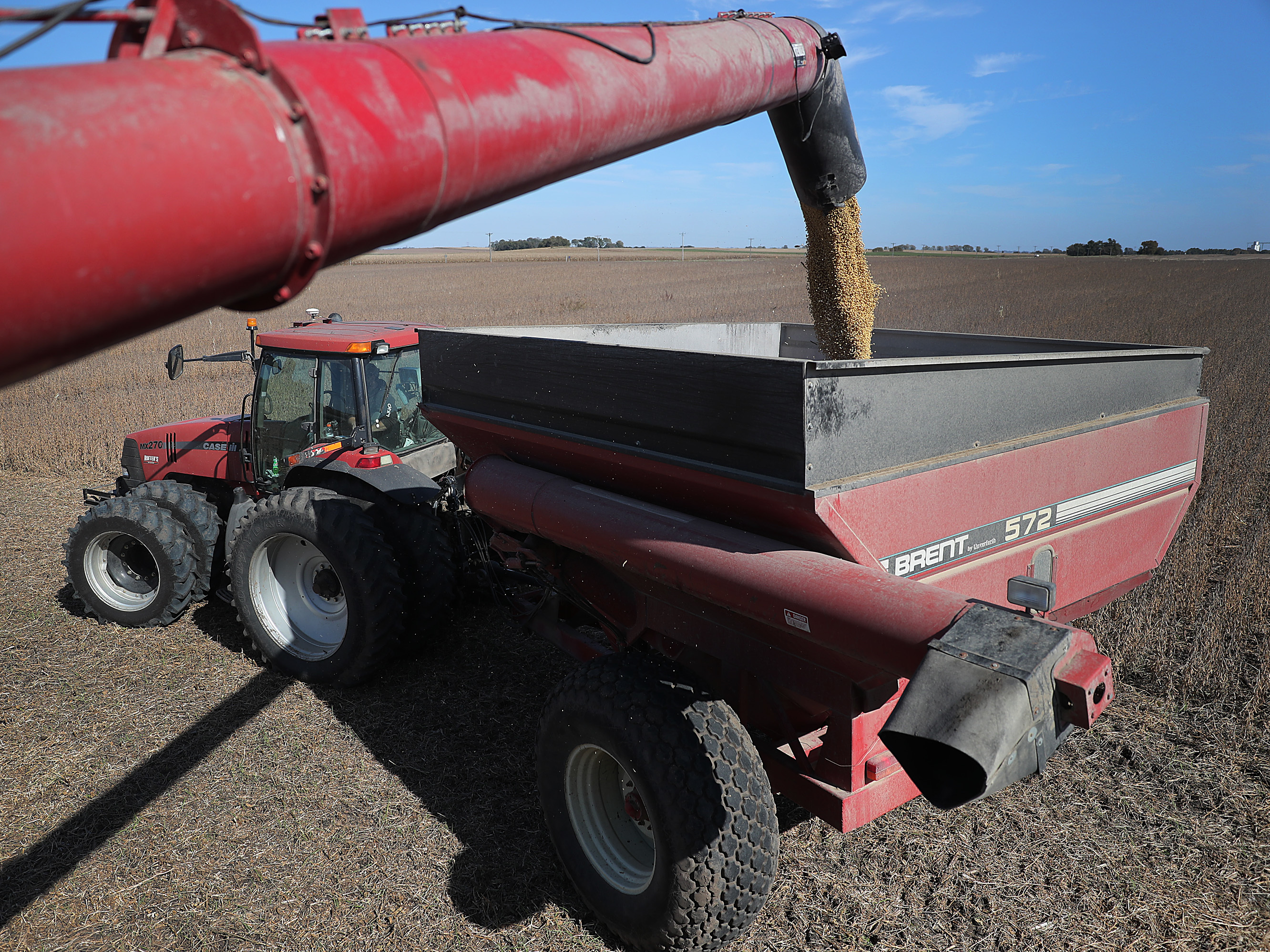 Soybeans pour from a combine during harvest in a field in Rippey, Iowa, in 2019. (Getty Images)
