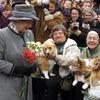 What will happen to Queen Elizabeth's beloved corgis?