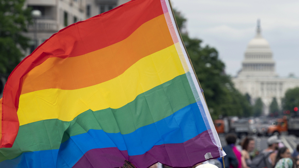 This GOP strategist is calling on Republican senators to safeguard same-sex marriage