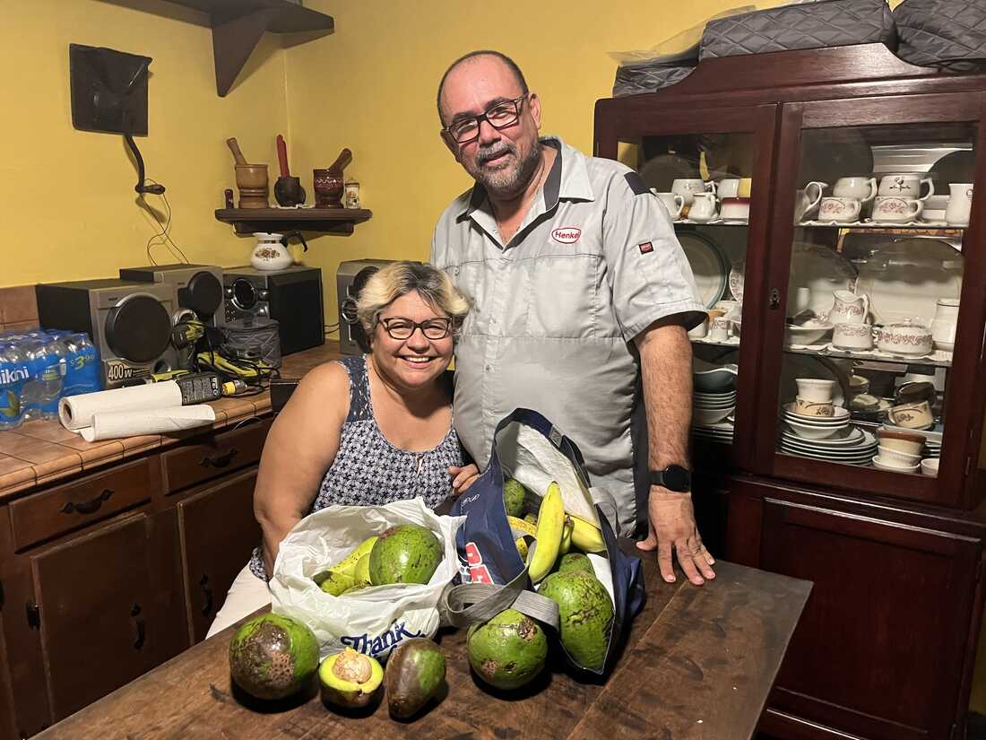 El huracán Fiona arrancó aguacates de los árboles en Puerto Rico: NPR