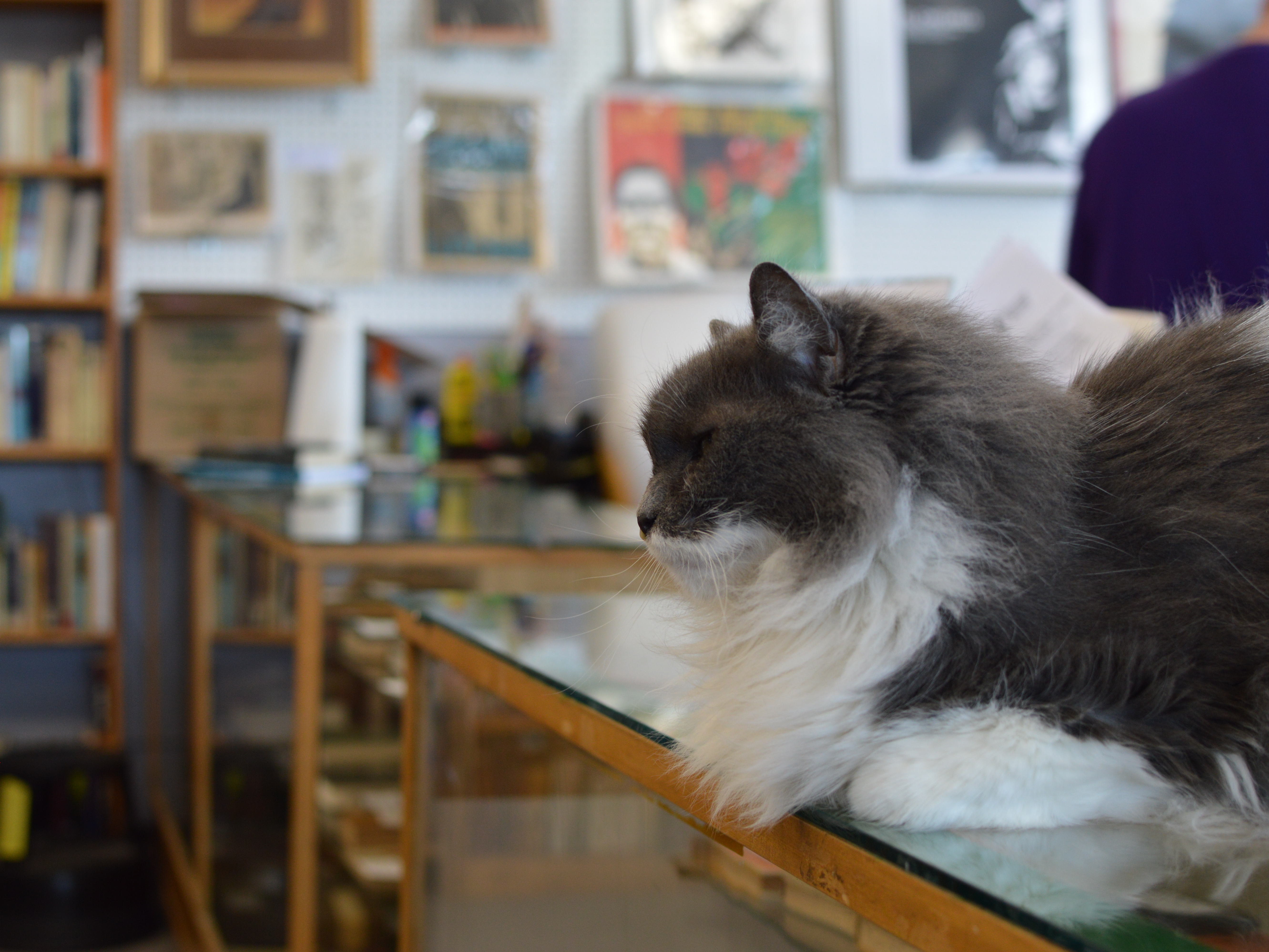 How one Atlanta bookstore is picking up the fight against book 