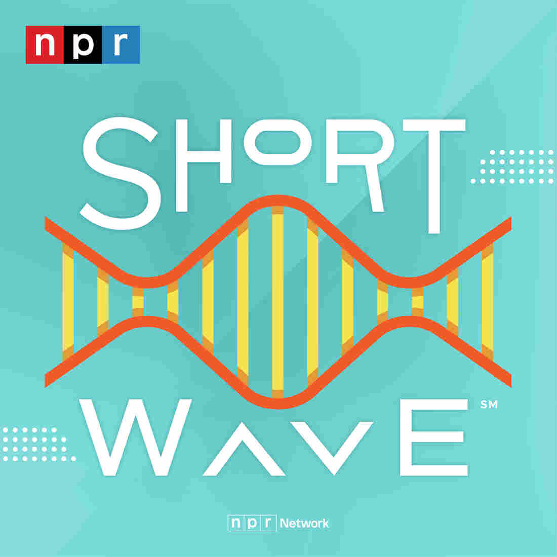 Short Wave
