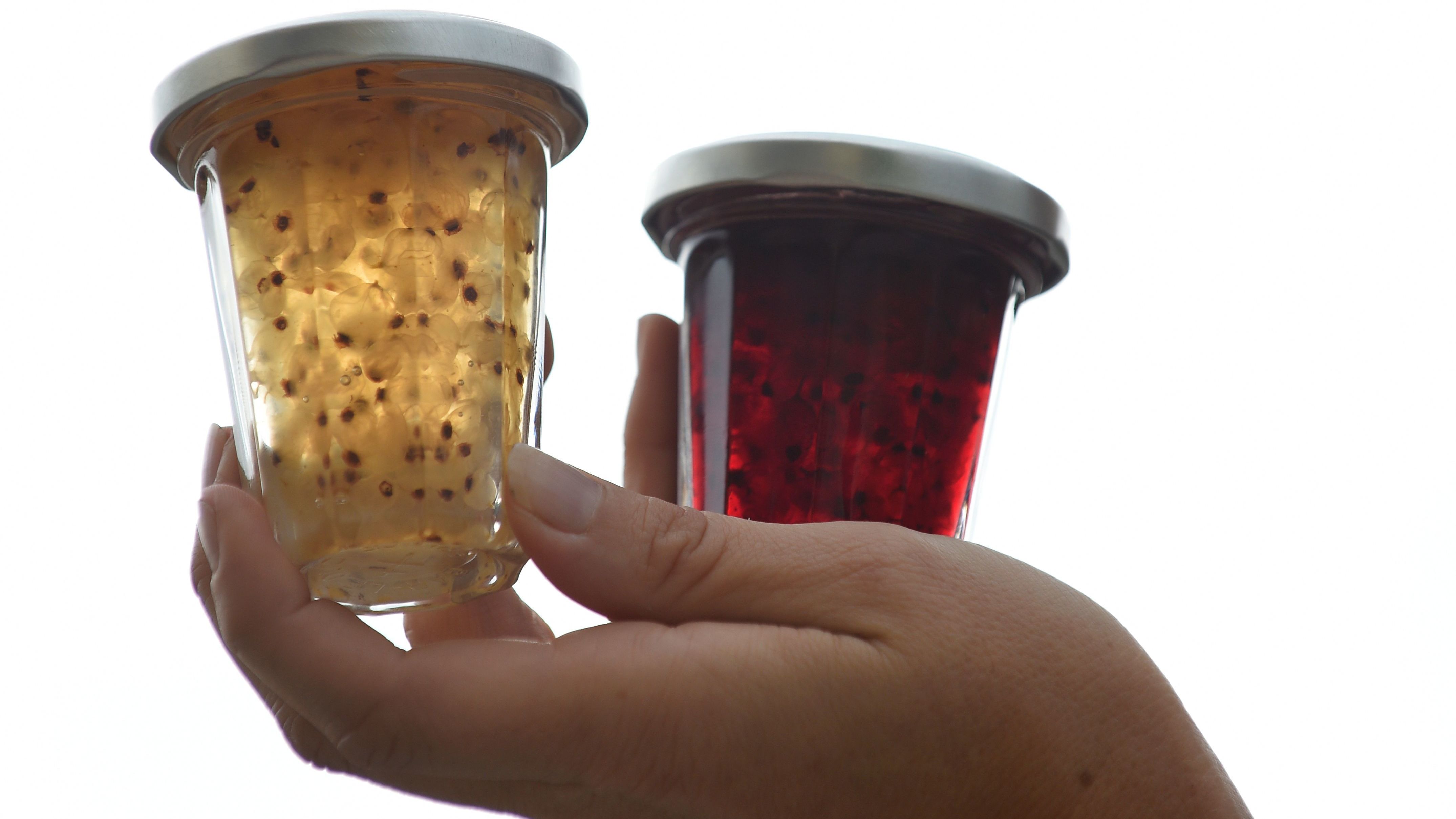 Anne Dutriez, of Maison Dutriez - A la Lorraine, holds jars of redcurrant jam, made by deseeding each berry with a goose quill, on September 5, 2017, in Bar-le-Duc, northeastern France. The redcurrant jam of Bar-Le-Duc, a luxury sweet sold at 200 euros per kg, is made according to an ultra-secret recipe, known today by only one person.