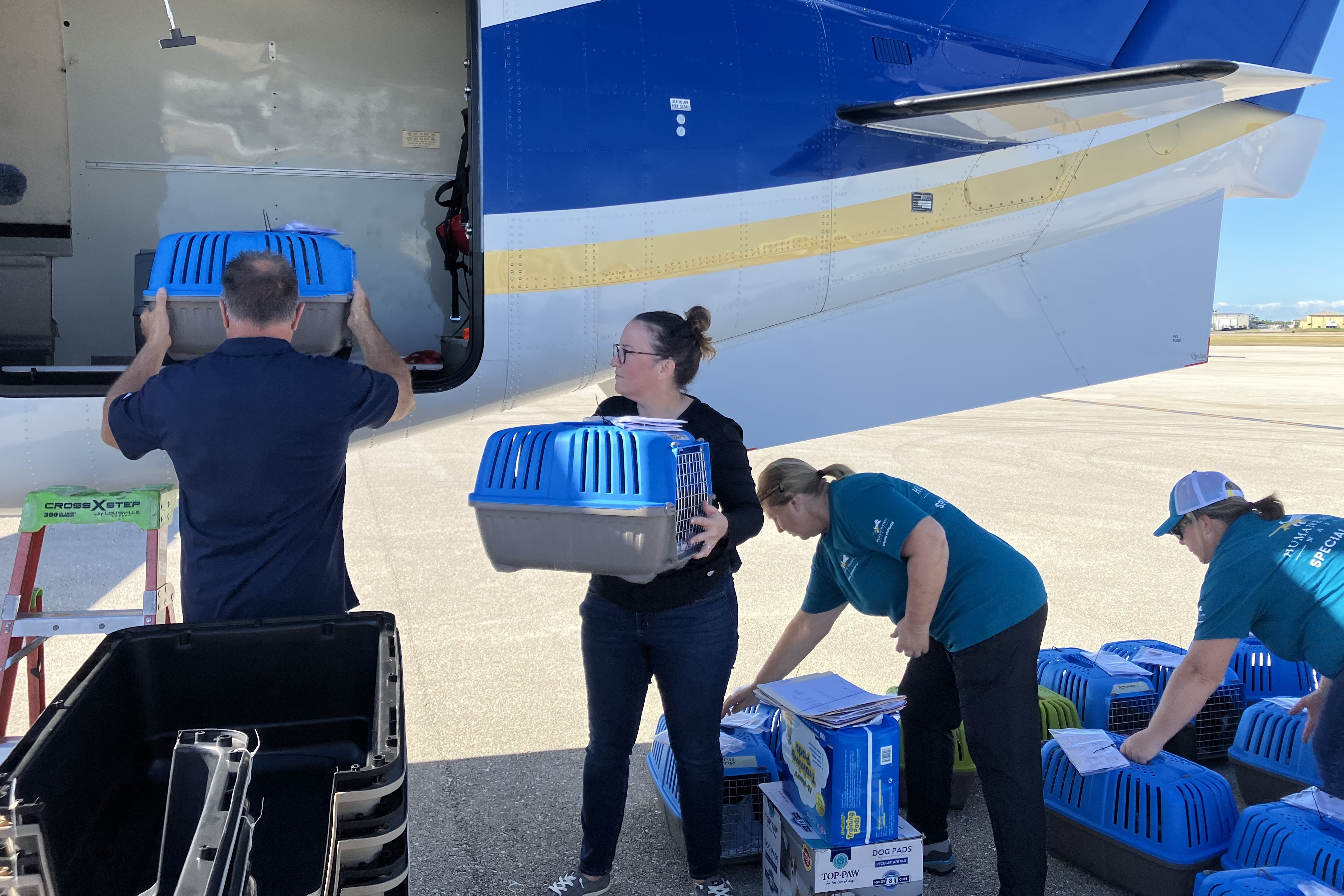 Humane Society Naples CEO Sarah Baeckler (center holding crate) helps load cats aboard a plane in Naples, Fla., on Monday. The group is getting ready for &quot;an influx of surrendered animals&quot; from Hurricane Ian, she says. (Scott Neuman/NPR)