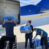Hurricane Ian's havoc is forcing some Florida families to give up the family pet