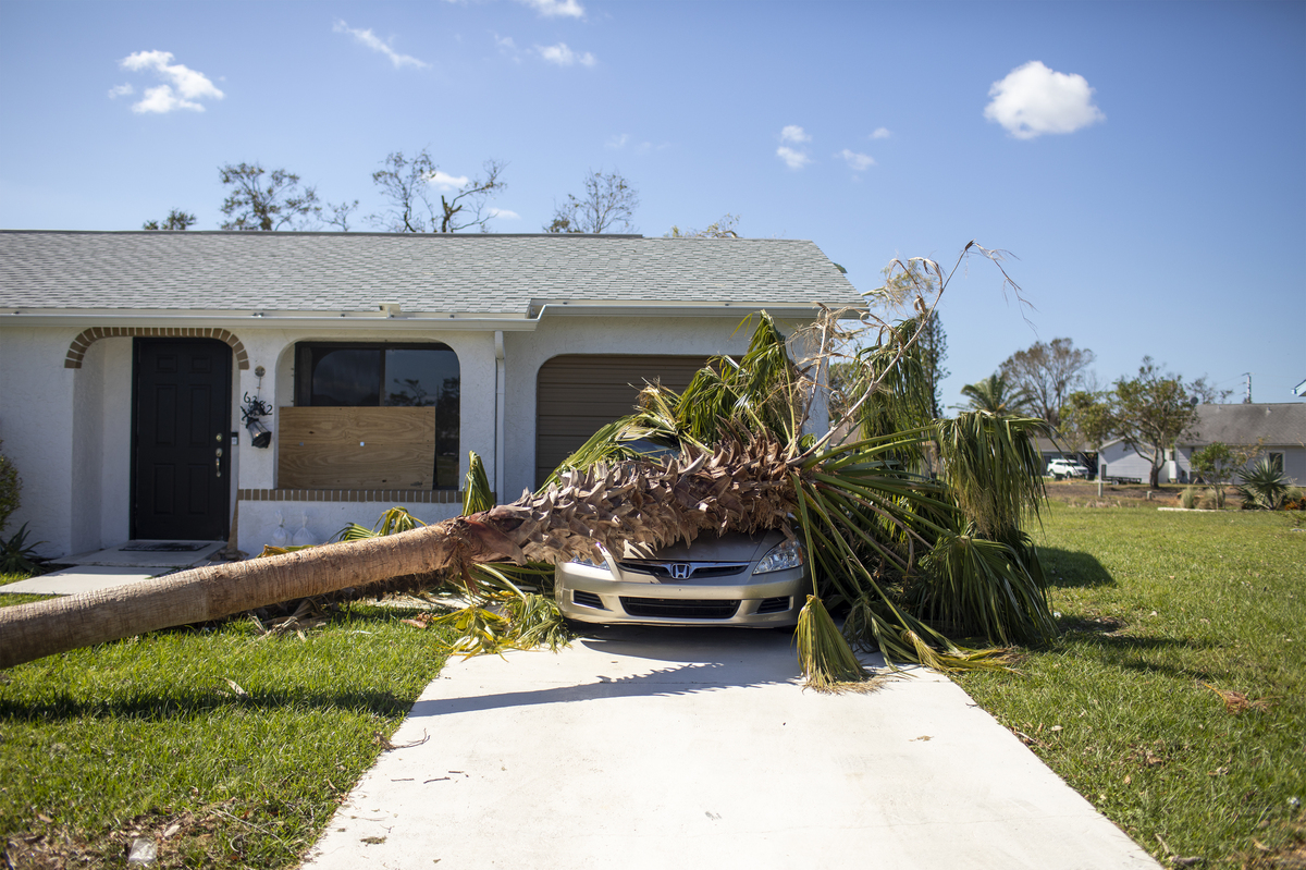 One week after Hurricane Ian hit North Port, Fla., cleanup begins. NPR