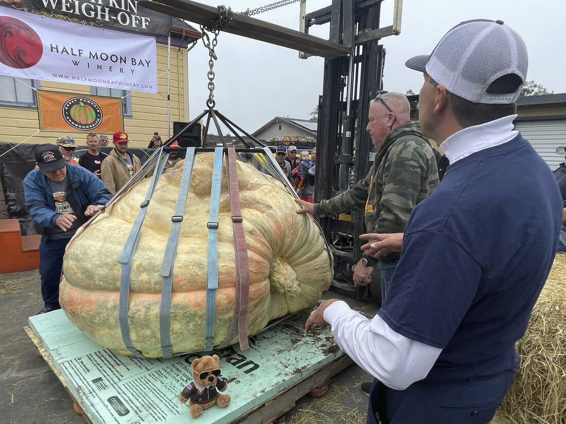 A 2,560-pound pumpkin from Minnesota breaks a new record 