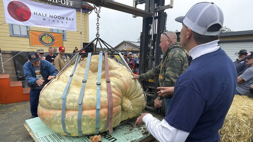 What's next for the world-champ pumpkin? A parade, pics and a record-setting makeover - Vimarsana News
