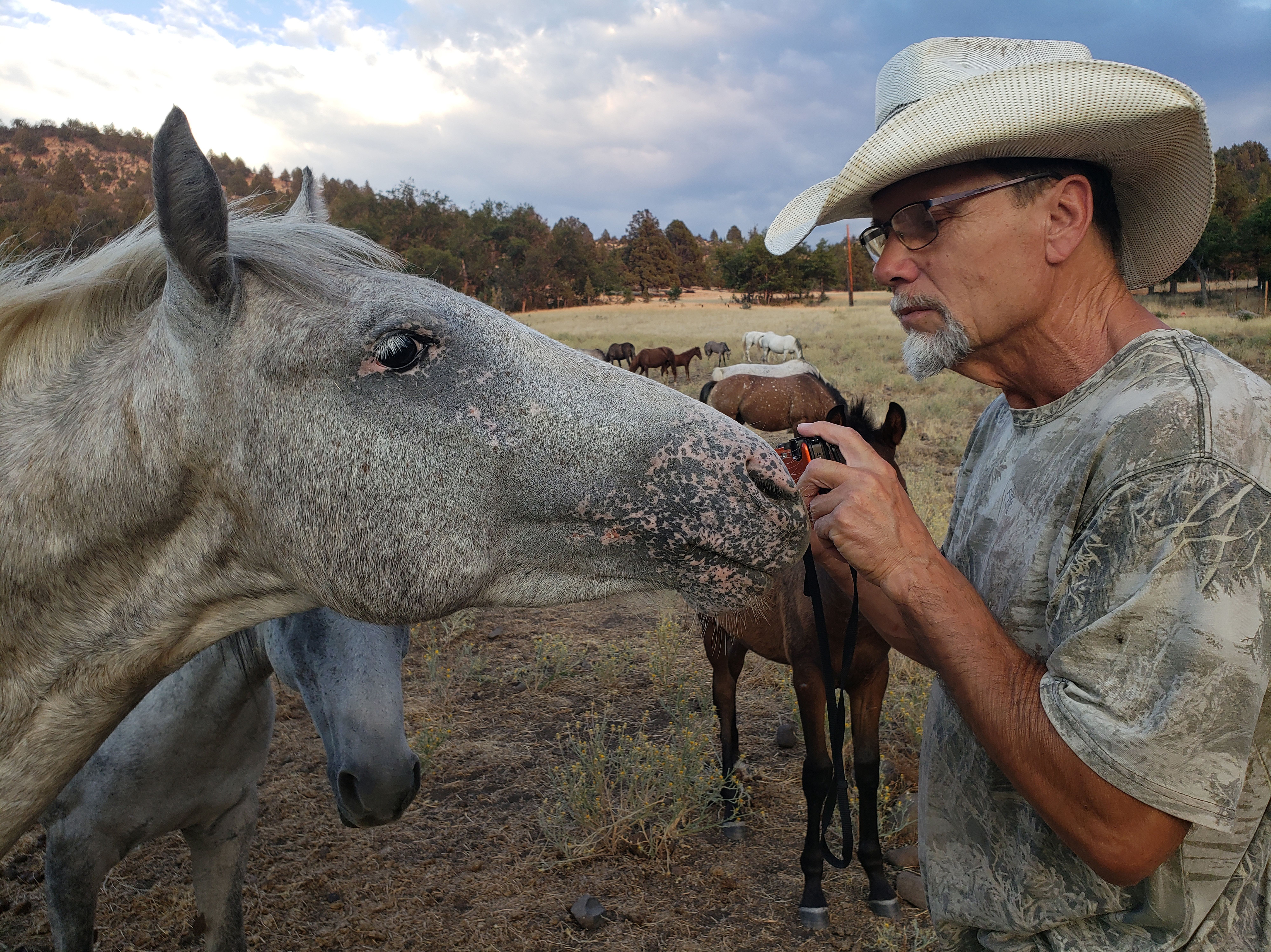 Preventing wildfire with the Wild Horse Fire Brigade - Vimarsana News