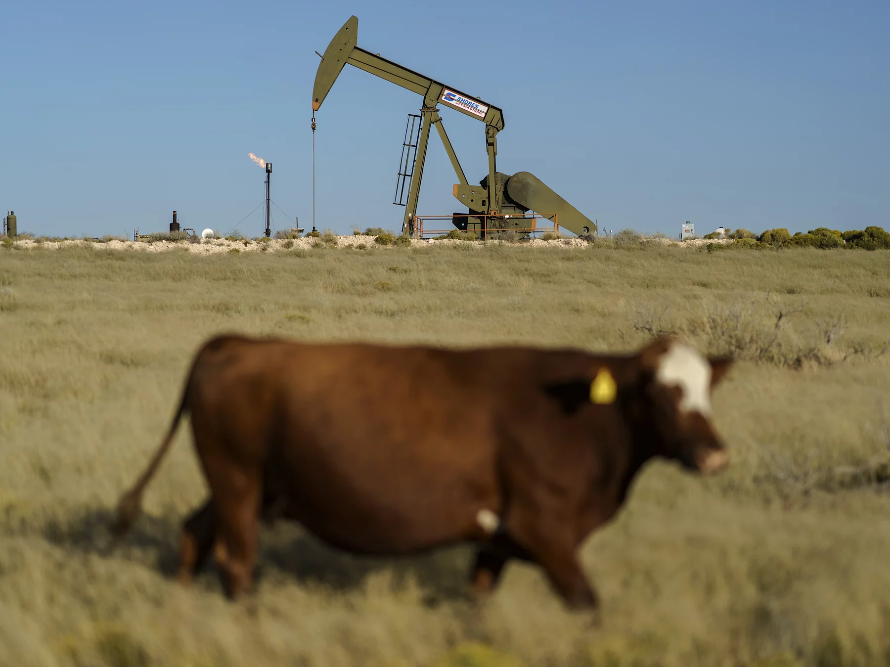 Greenhouse gases reach record high
