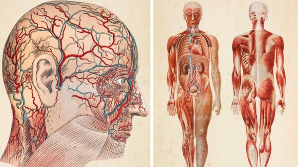 Platen Heilmethode 1894.